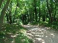 brekka 13-06-10 032